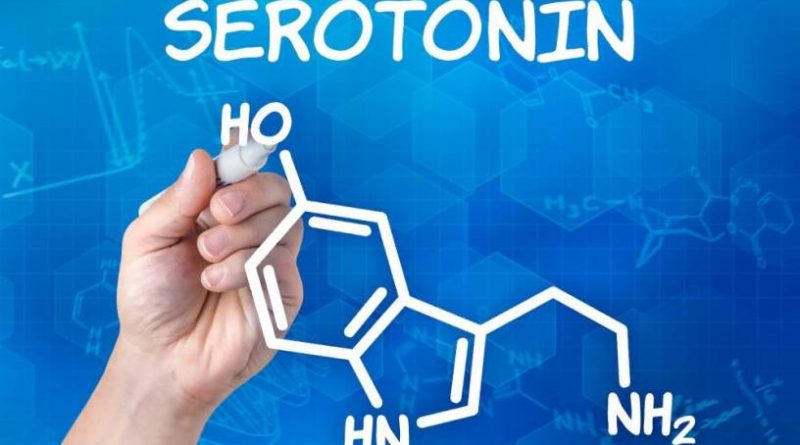 serotonin là gì